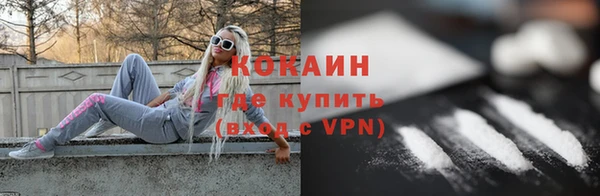 ПСИЛОЦИБИНОВЫЕ ГРИБЫ Дмитриев