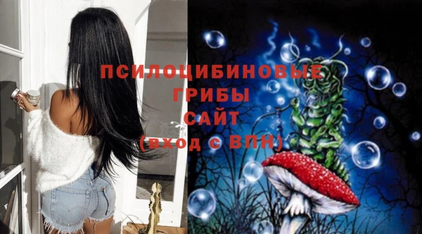 ПСИЛОЦИБИНОВЫЕ ГРИБЫ Дмитриев