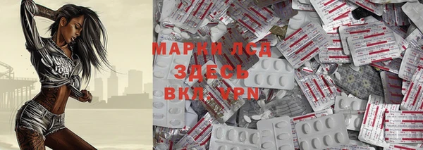 хмурый Дмитровск