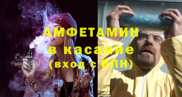 ПСИЛОЦИБИНОВЫЕ ГРИБЫ Дмитриев
