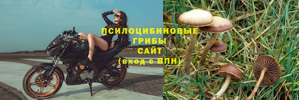 хмурый Дмитровск