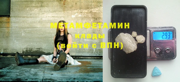 ПСИЛОЦИБИНОВЫЕ ГРИБЫ Дмитриев