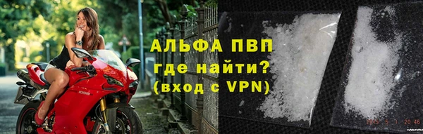ПСИЛОЦИБИНОВЫЕ ГРИБЫ Дмитриев