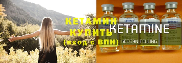 ПСИЛОЦИБИНОВЫЕ ГРИБЫ Дмитриев