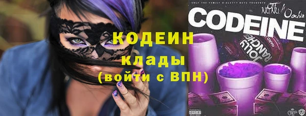 ПСИЛОЦИБИНОВЫЕ ГРИБЫ Дмитриев