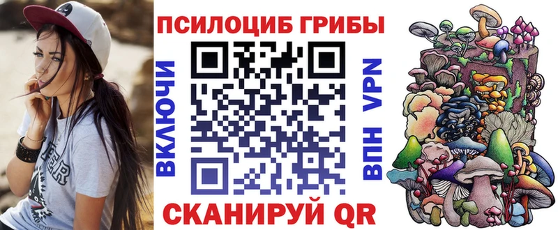 наркота  Звенигород  Псилоцибиновые грибы ЛСД 